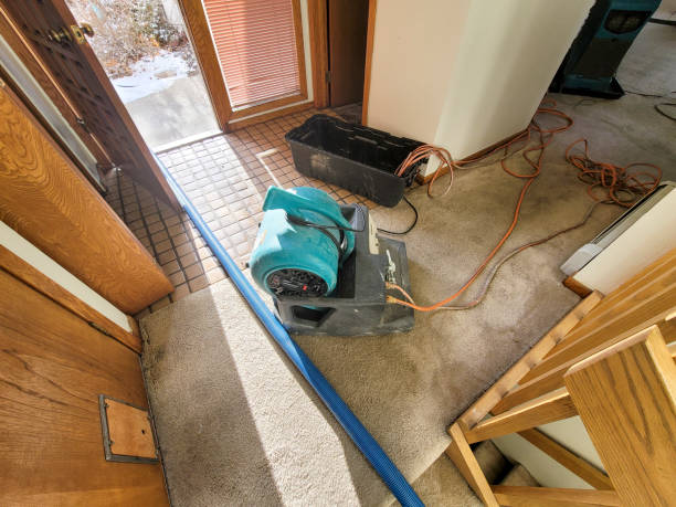 Best Emergency water damage restoration  in New Bedford, MA