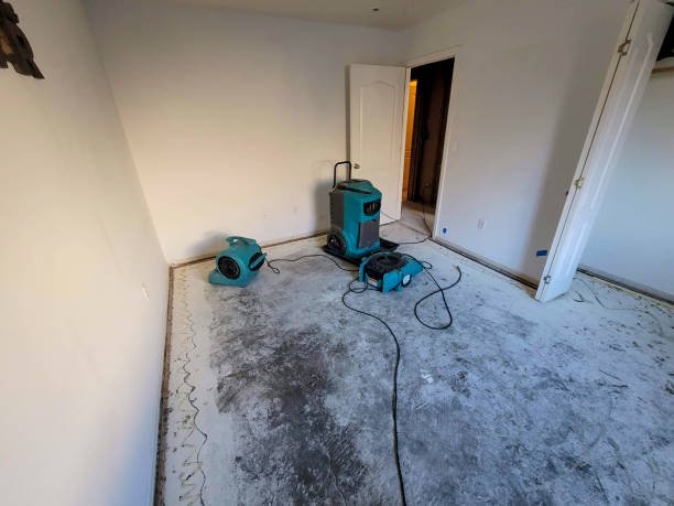  New Bedford, MA Water damage restoration Pros