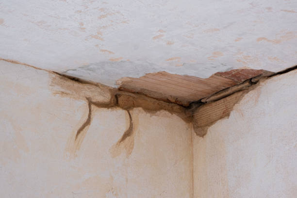 Water damage restoration mold remediation in MA