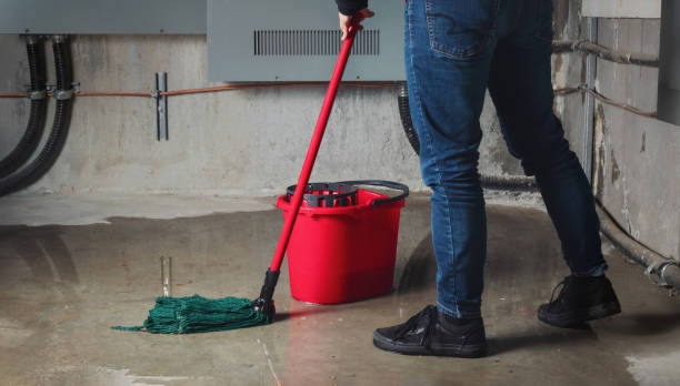 Best 24/7 water damage repair  in New Bedford, MA