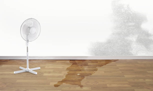 24/7 water damage repair in MA