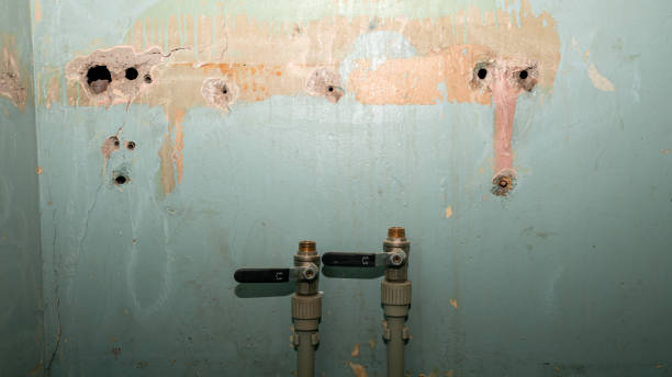Best 24/7 water damage repair  in New Bedford, MA