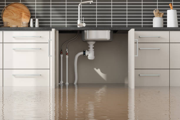 Best Water damage contractors near me  in New Bedford, MA