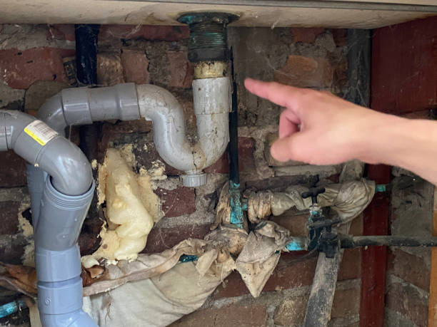 Best Water damage cleanup near me  in New Bedford, MA