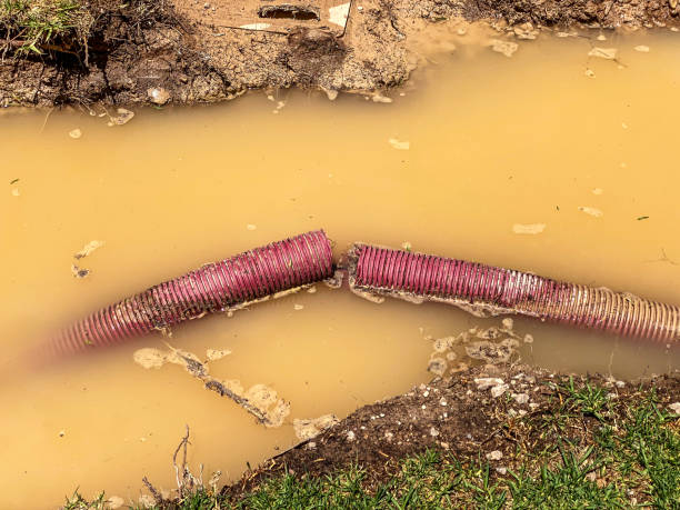 Best Basement water damage restoration  in New Bedford, MA